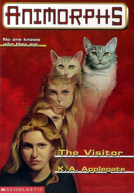 The Visitor